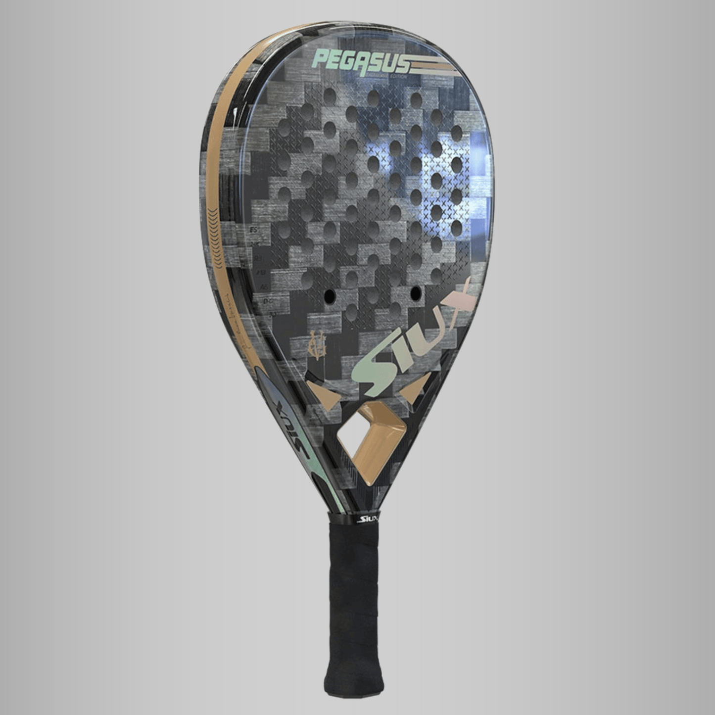 Siux Pegasus GV Edition 2023
